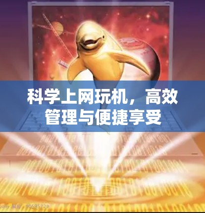 科学上网玩机,高效管理与便捷享受 科学上网玩机,高效管理与便捷享受