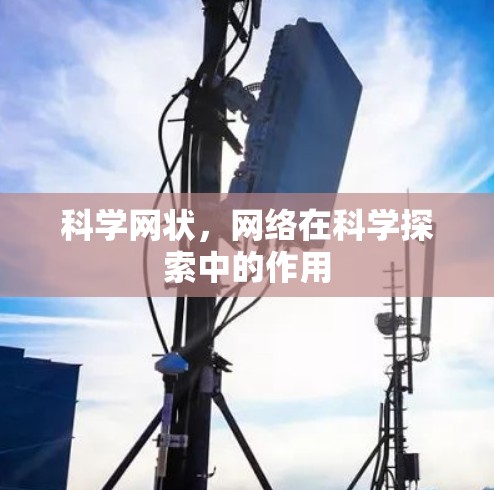 科学网状，网络在科学探索中的作用