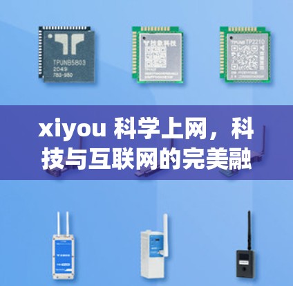 xiyou 科学上网,科技与互联网的完美融合 科技创新与用户体验的结合