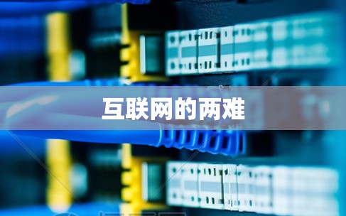 互联网的两难