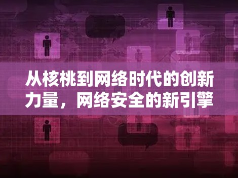 从核桃到网络时代的创新力量,网络安全的新引擎