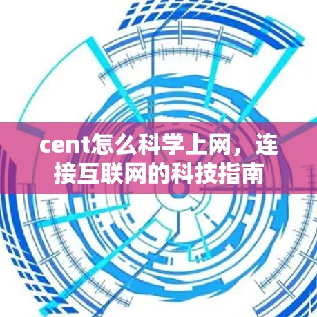 cent怎么科学上网,连接互联网的科技指南