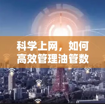 科学上网，如何高效管理油管数据