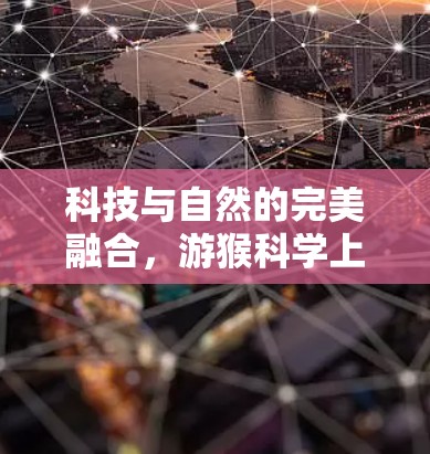 科技与自然的完美融合，游猴科学上网
