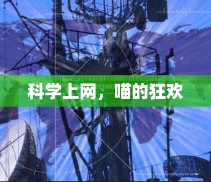 科学上网,喵的狂欢
