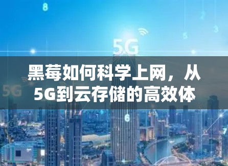 黑莓如何科学上网，从5G到云存储的高效体验