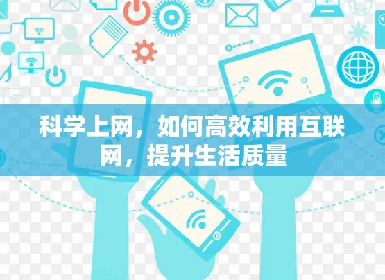 科学上网，如何高效利用互联网，提升生活质量