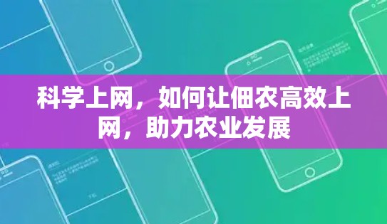 科学上网，如何让佃农高效上网，助力农业发展