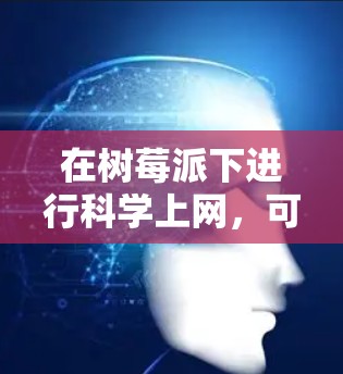 在树莓派下进行科学上网，可以从以下几个方面进行配置和考虑