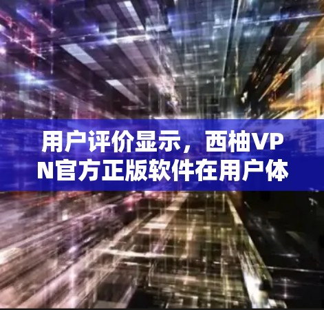 用户评价显示，西柚VPN官方正版软件在用户体验、安全性以及价格等方面表现良好，值得考虑。以下是基于用户反馈和综合分析的建议