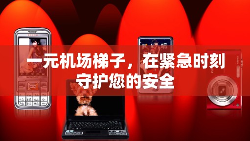 一元机场梯子,在紧急时刻守护您的安全 一元机场梯子,在紧急时刻守护您的安全