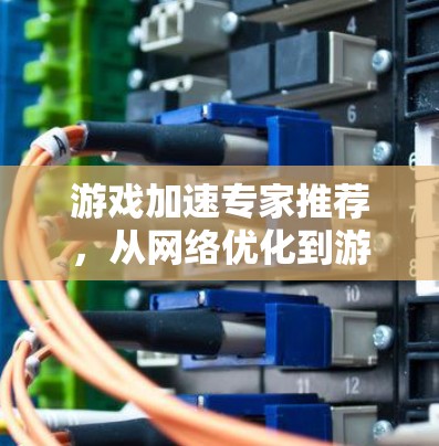 游戏加速专家推荐,从网络优化到游戏体验提升的必备工具 游戏加速专家推荐,从网络优化到游戏体验提升的必备工具