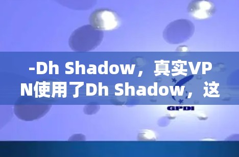 -Dh Shadow，真实VPN使用了Dh Shadow，这是第三方安全评估机构的认证，确保了数据传输的安全性