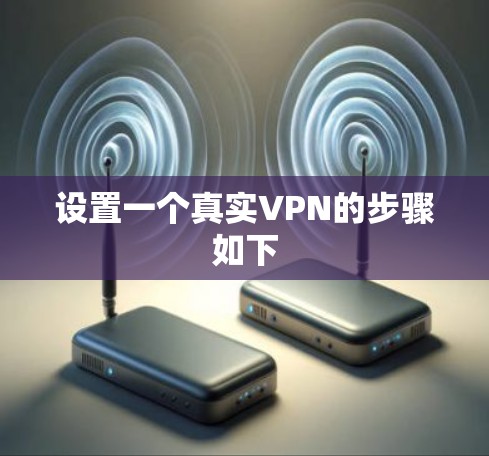 设置一个真实VPN的步骤如下