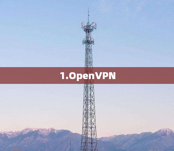 1.OpenVPN 1.OpenVPN